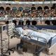 Illustration for article titled Delighted Health Insurance Executives Gather In Outdoor Coliseum To Watch Patient Battle Cancer